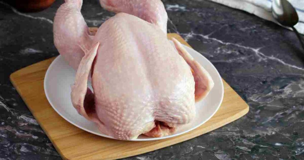 Venta de Pollos de Engorda de Alta Calidad: Genética Superior para el Mercado Mexicano