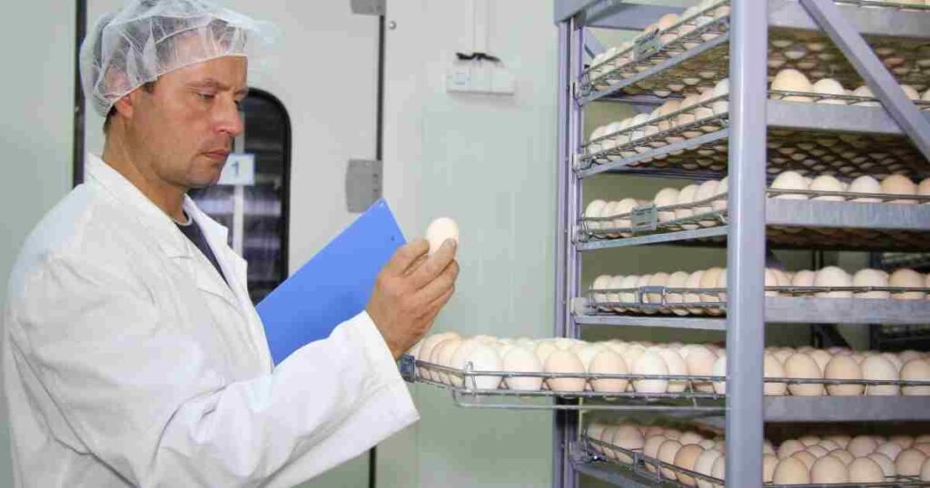 Proyecto de Emprendimiento con Incubadoras de Aves en México: Análisis Integral de Ventajas y Desventajas