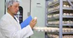 Enfermedades en las Aves en México: Historia, Crisis y Resiliencia